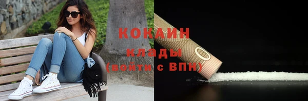 индика Балахна
