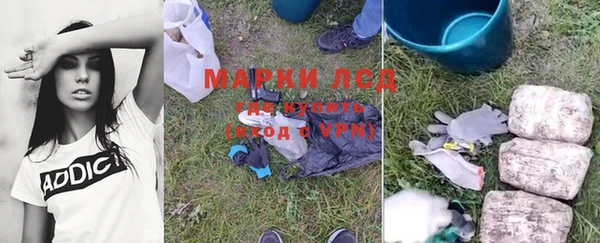 индика Балахна