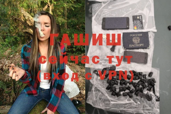 индика Балахна