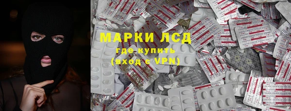 индика Балахна