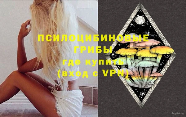 индика Балахна