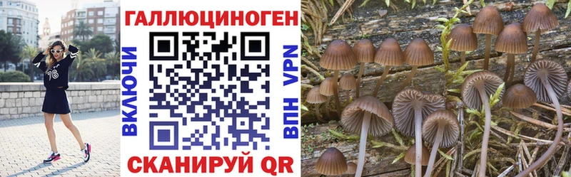 Псилоцибиновые грибы GOLDEN TEACHER  Спас-Деменск 